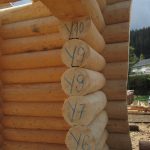 constructii case lemn rotund Franta